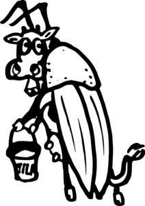 cow bug