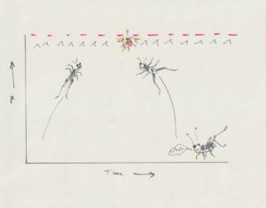 whatsapp image 2026 04 20 at 13.39.05